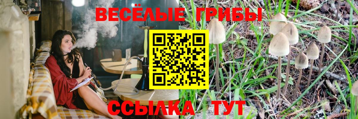 Сарапул  Псилоцибиновые грибы Psilocybine cubensis  Вход с VPN 